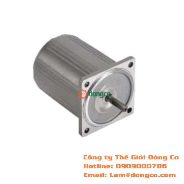 MÔ TƠ MINI LEONHARD 6W-250W
