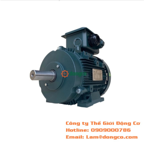ĐỘNG CƠ ĐIỆN TOSHIBA IE3 CHÂN ĐẾ 0.75KW-150KW